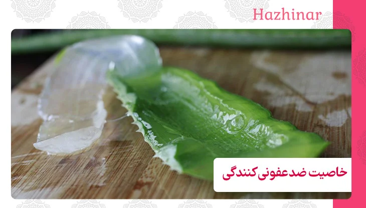 خواص ژل آلوئه ورا برای عرق سوز شدن